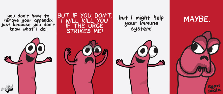 NEW Appendix Plushie (Pre-Order) – the Awkward Store